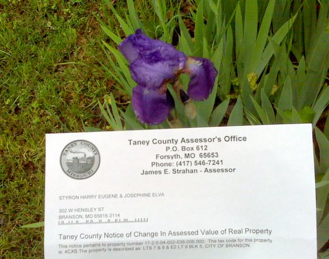 iris-and-tax-notice-002